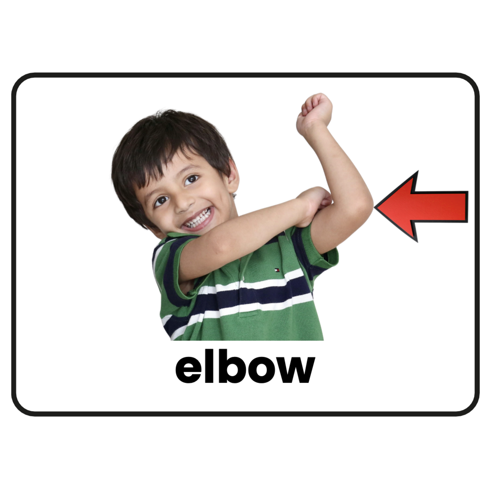 Stimuli Cards Parts of the Body