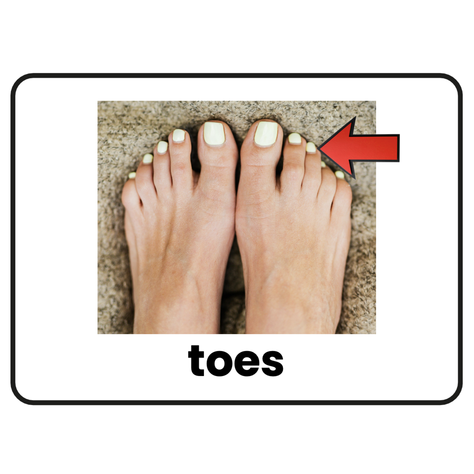 Stimuli Cards Parts of the Body