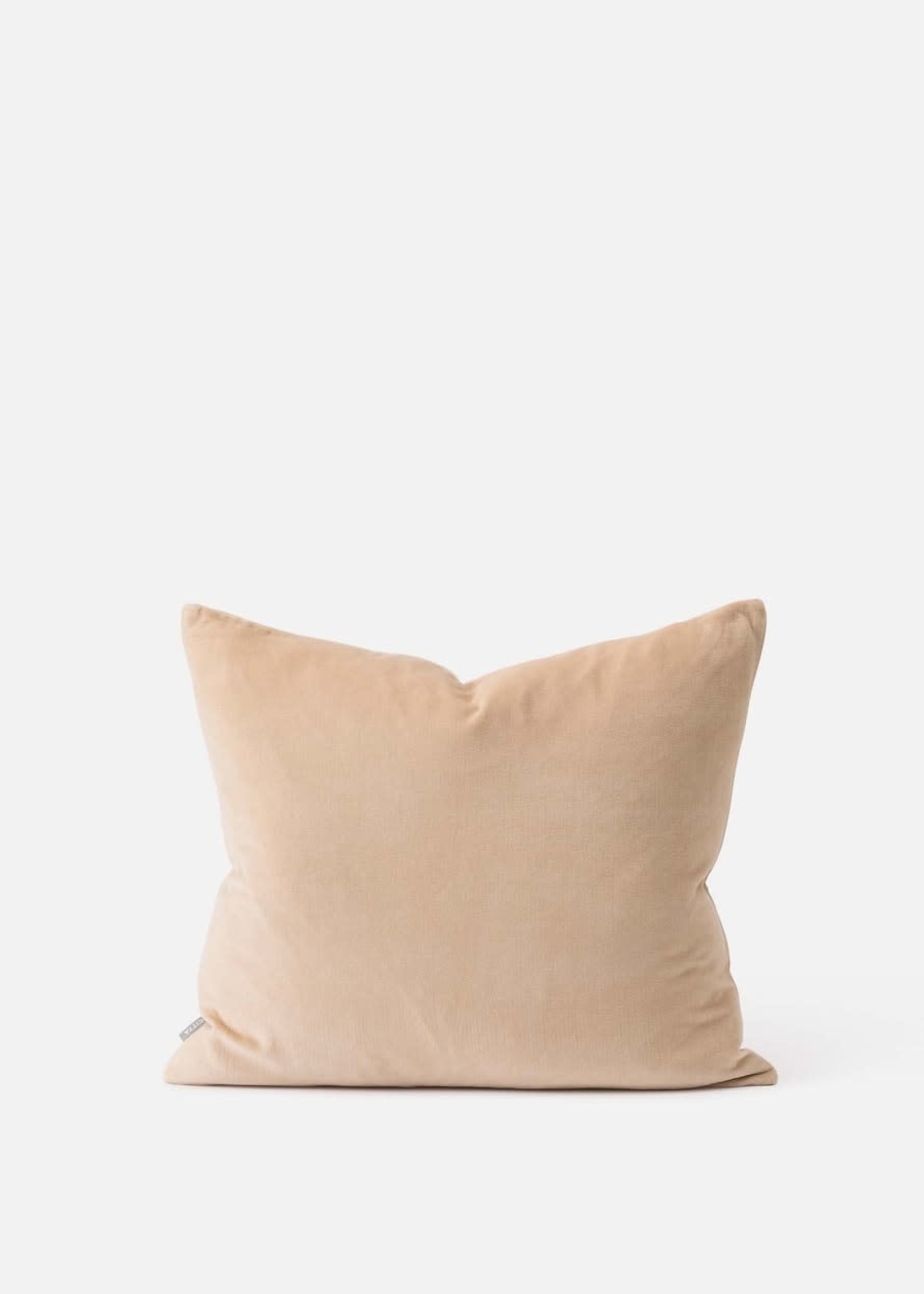 Cotton Velvet Cushion  Biscuit 55x45cm