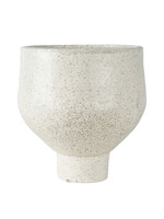 Correns Large Vessel White