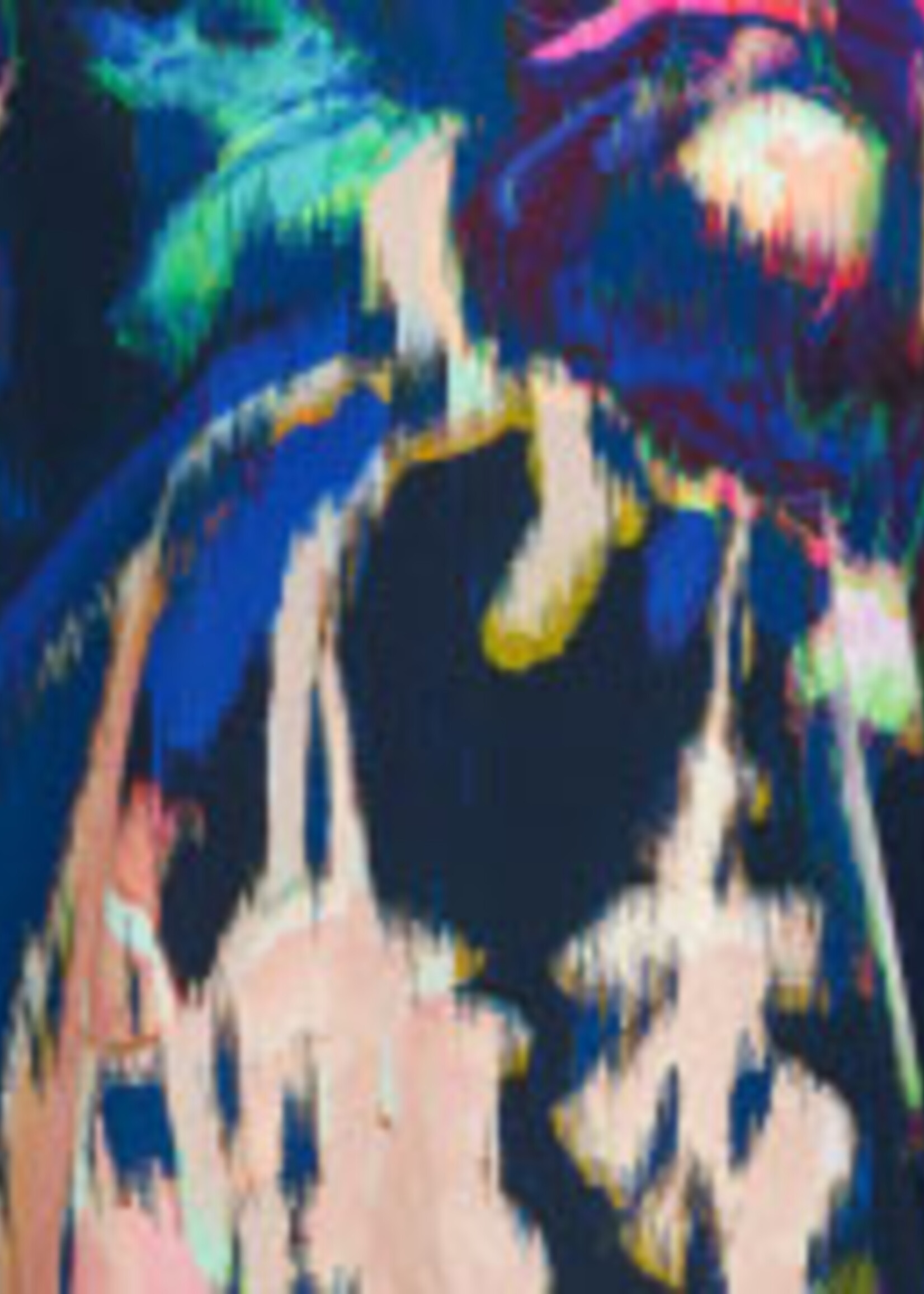 Lato Pant in Vaara Print