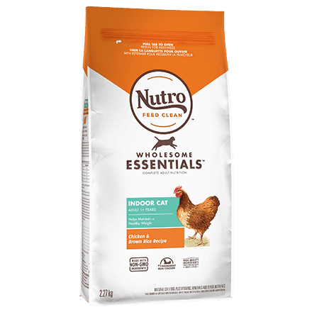 Nutro WE Chicken and Brown Rice Cat Food Hello Pets