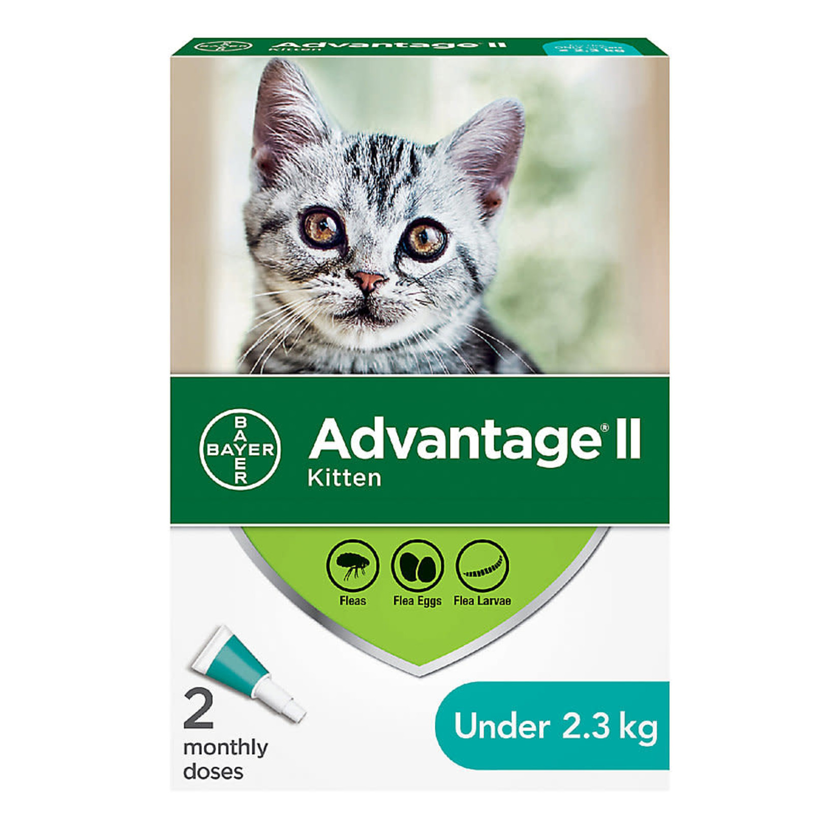 Elanco Advantage II for Kittens 4 dose