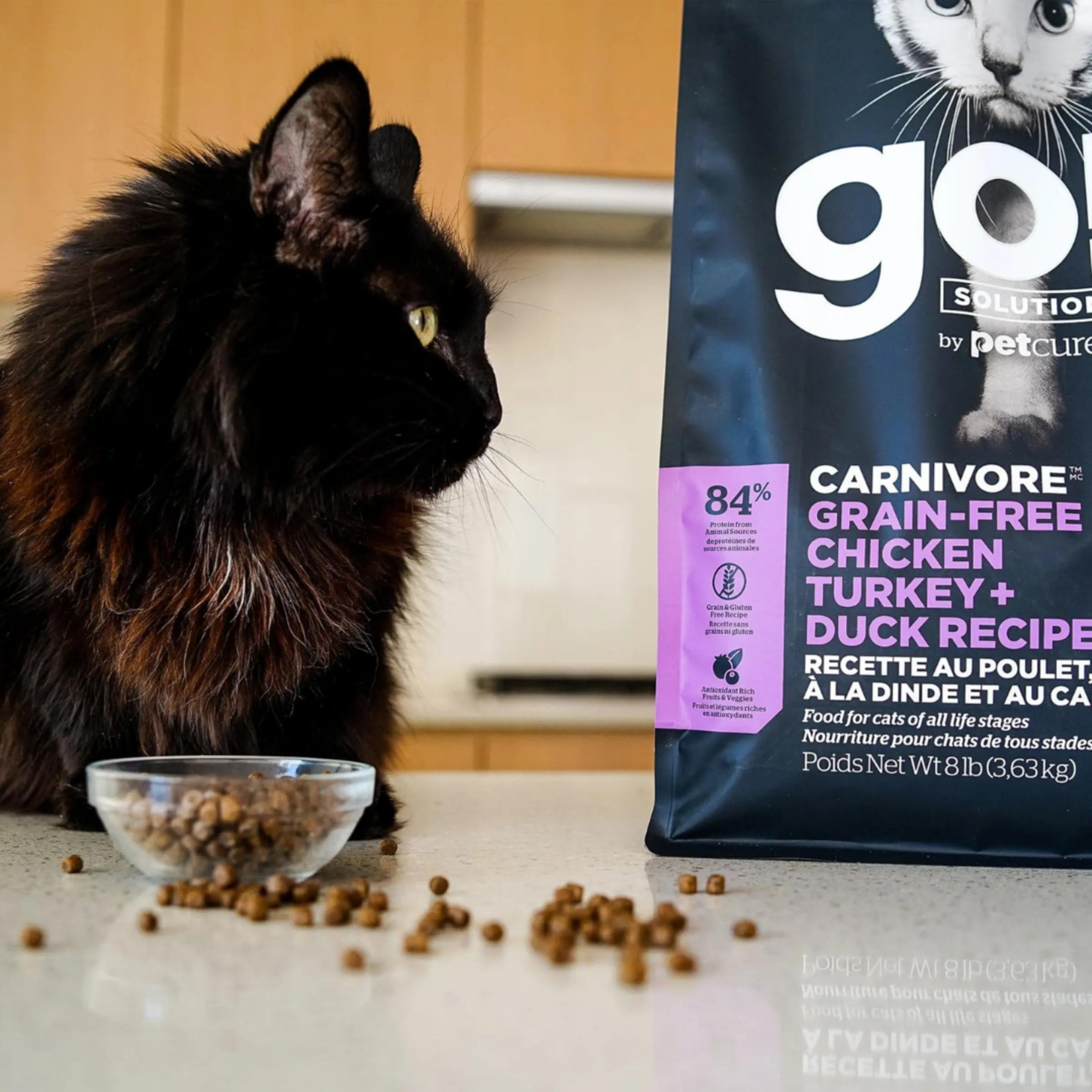 GO! Solutions GO! SOLUTIONS CARNIVORE Grain Free Chicken, Turkey + Duck Recipe Cat