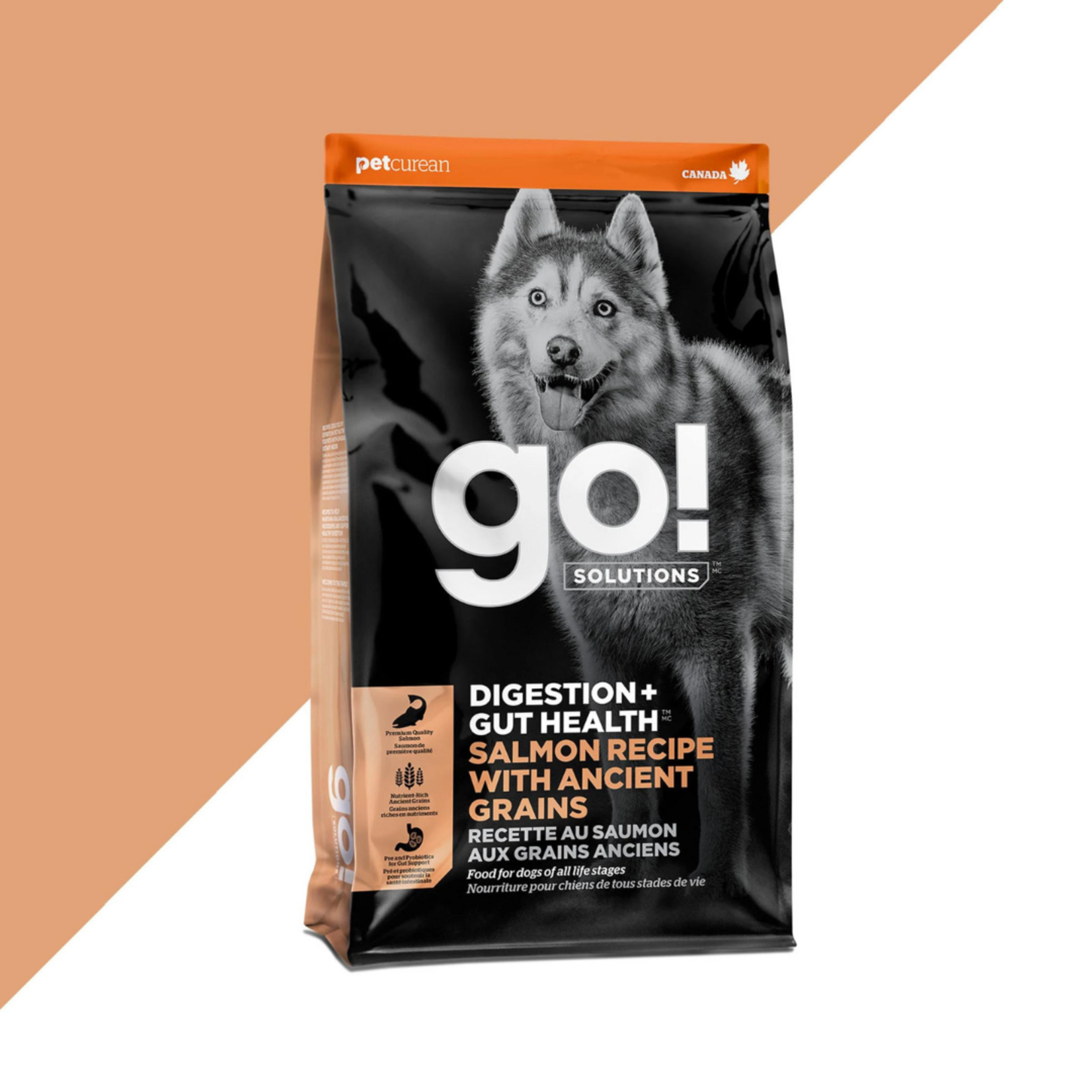 GO! Solutions GO! SOLUTIONS DIGESTION + GUT HEALTH Salmon Recipe with Ancient Grains Dog Food