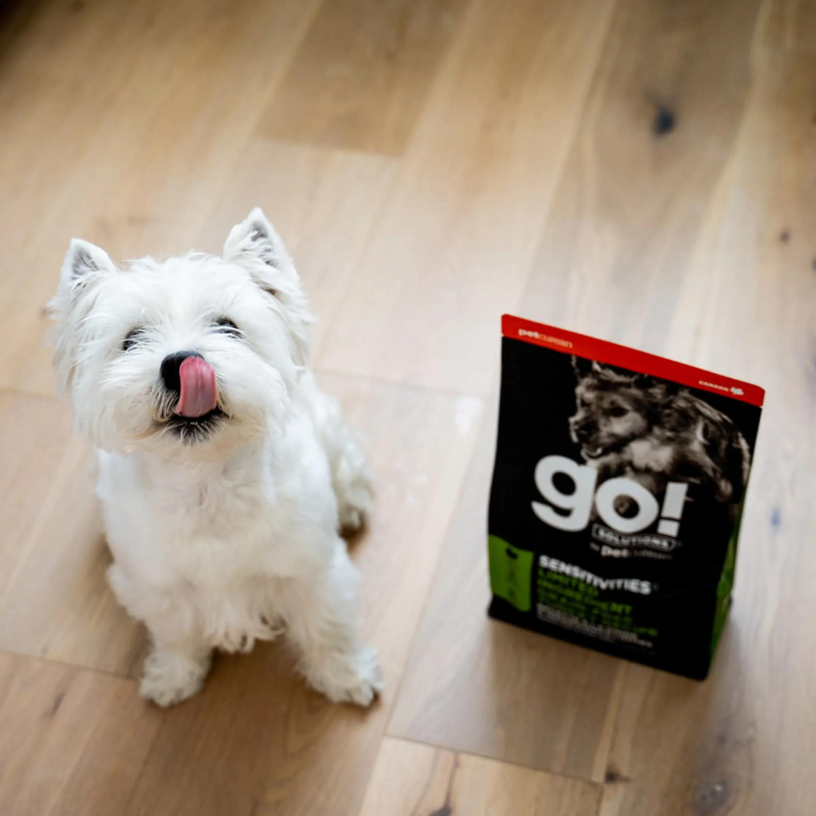 GO! Solutions GO! SOLUTIONS Sensitivities Lid Grain Free Turkey Dog