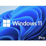 Microsoft Windows 11 Professional 64 Bit OEM