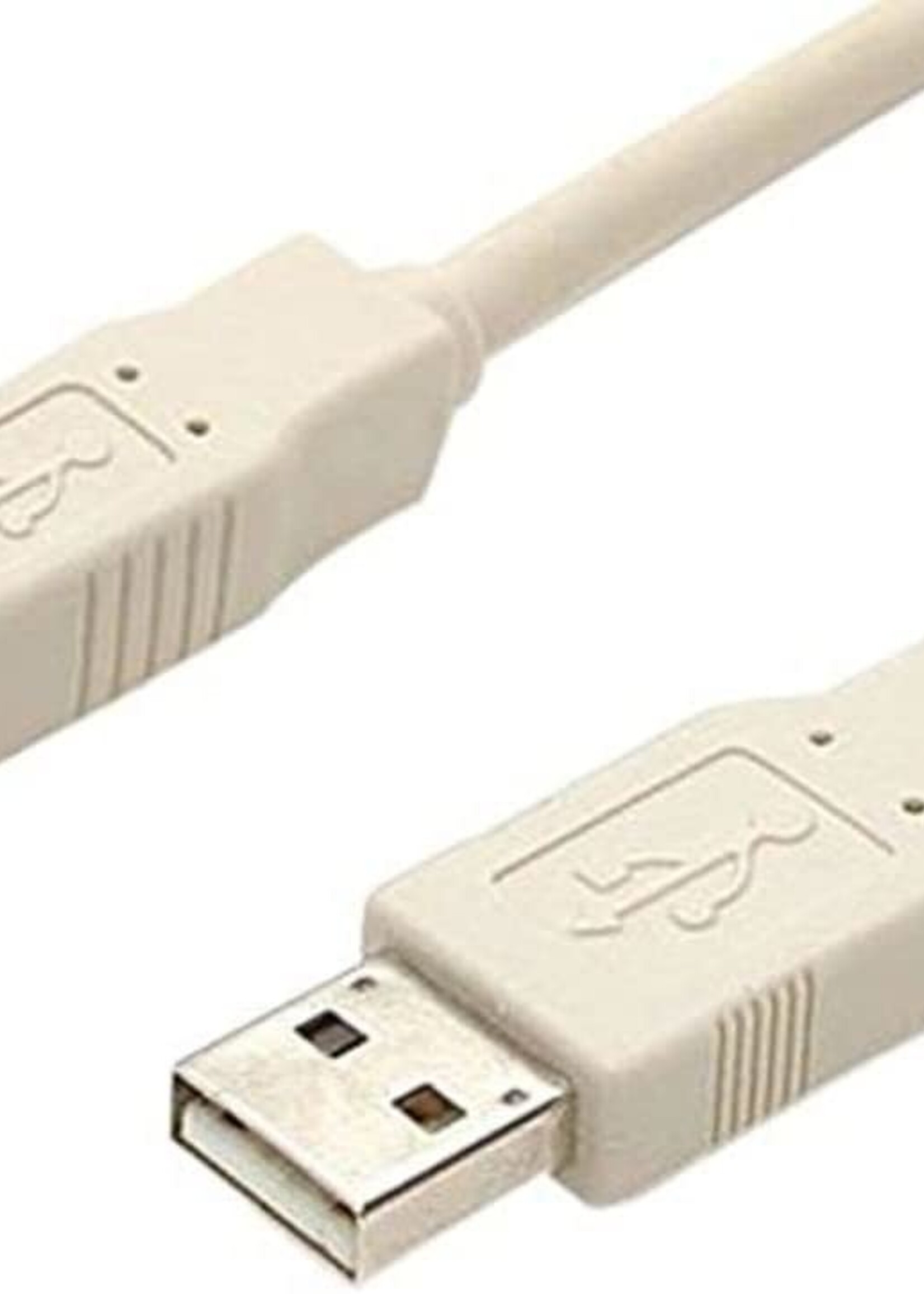 6'  USB 2.0 M - M Beige