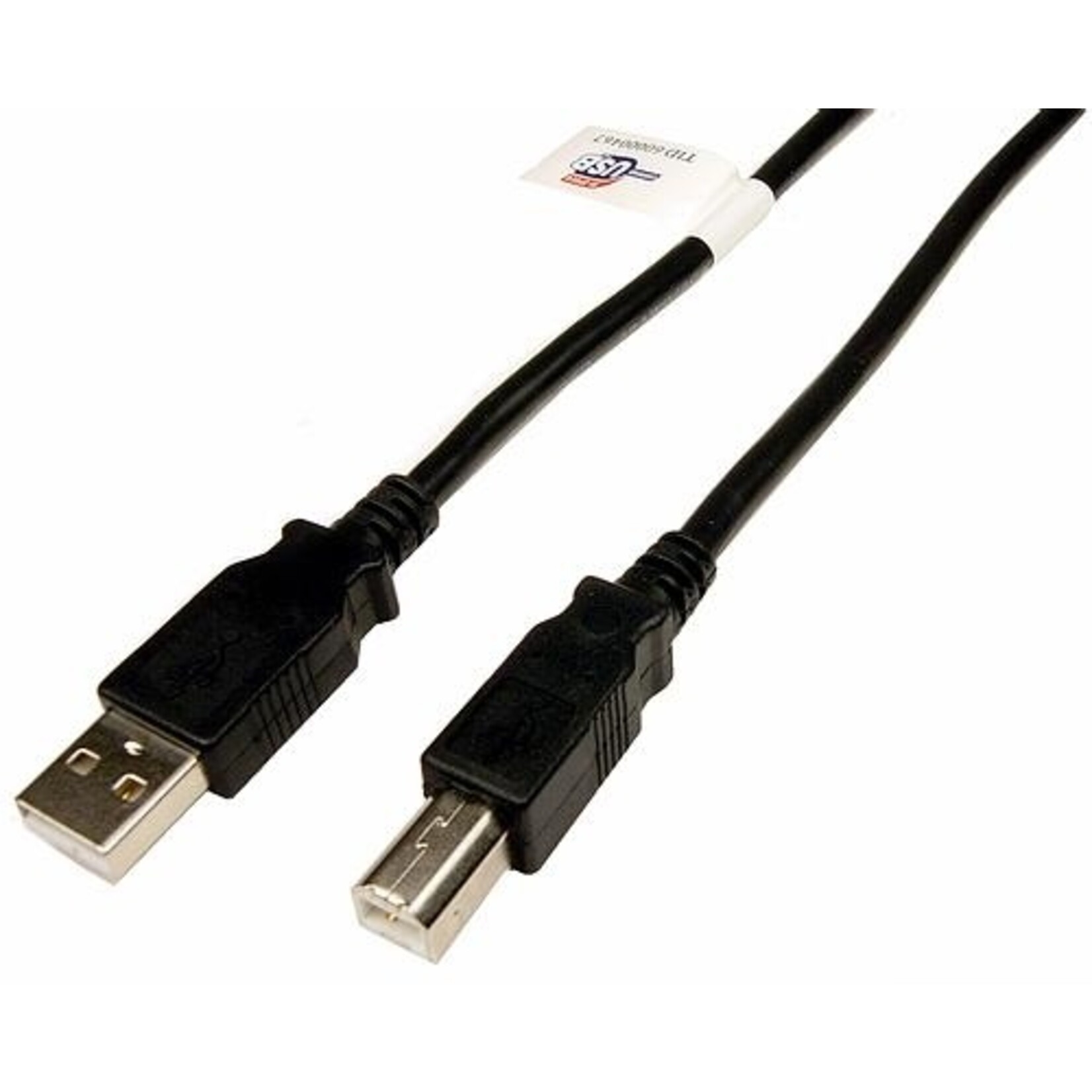 10' USB 2.0 A M to B M cable