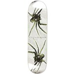 Polar Deck-Polar-David Stenstrm-Spider-8