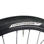 CANNONDALE Cannondale by Panaracer TRS Tire 650b x 42mm