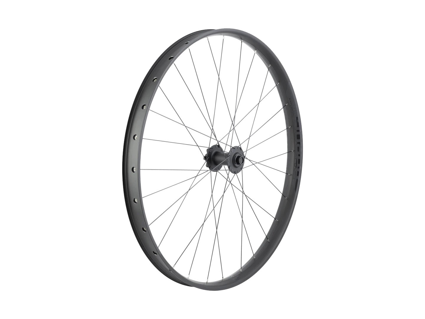 Sun Rims Duroc 50 MTB Front Wheel, 12x110mm, 6-Bolt, 28h - Rebec and ...