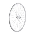 Sta-Tru 700c Rear Wheel, Freewheel, 130mm Q/R, 36H, Silver, Rim Brake