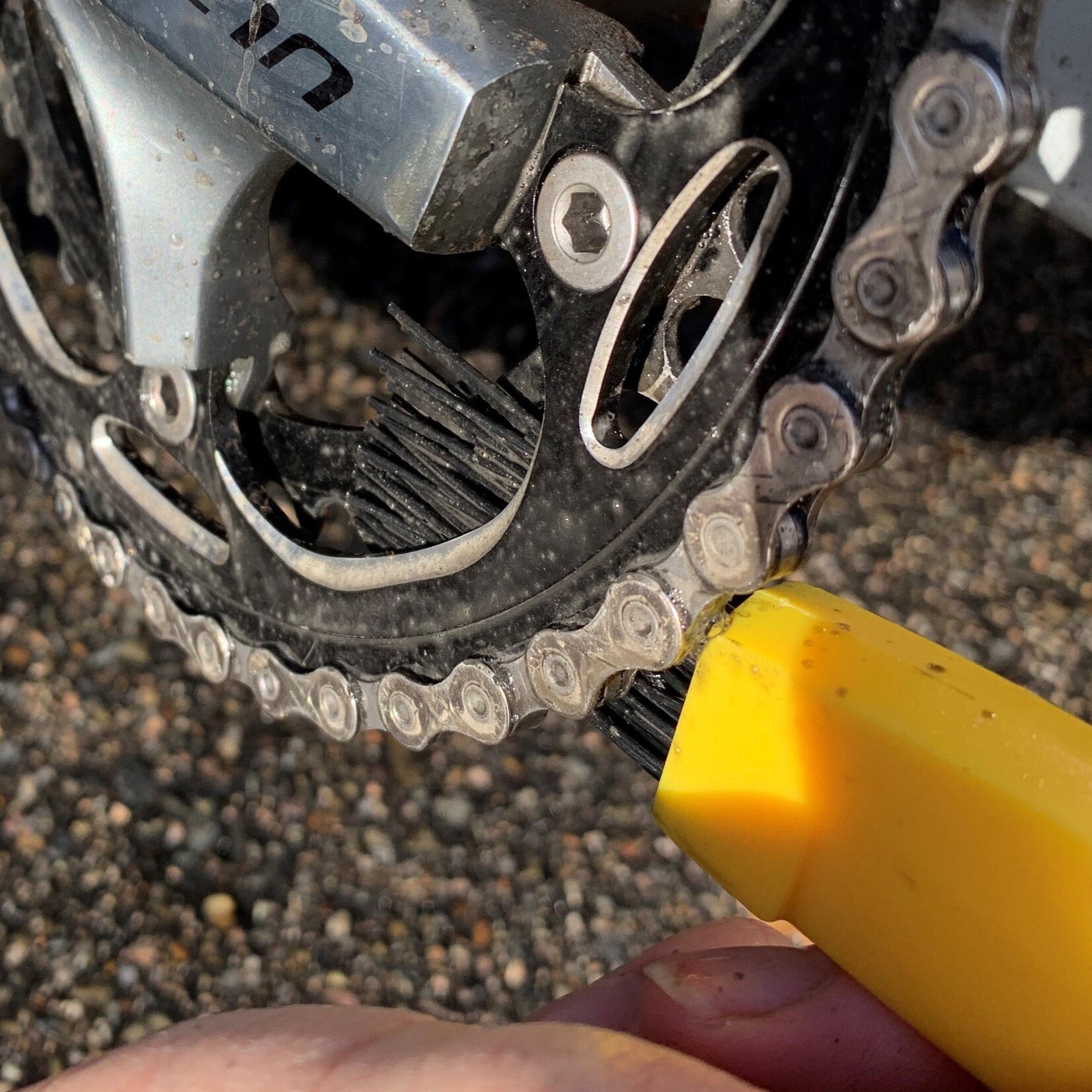 PEDRO'S Pedro's Toothbrush Gear Brush