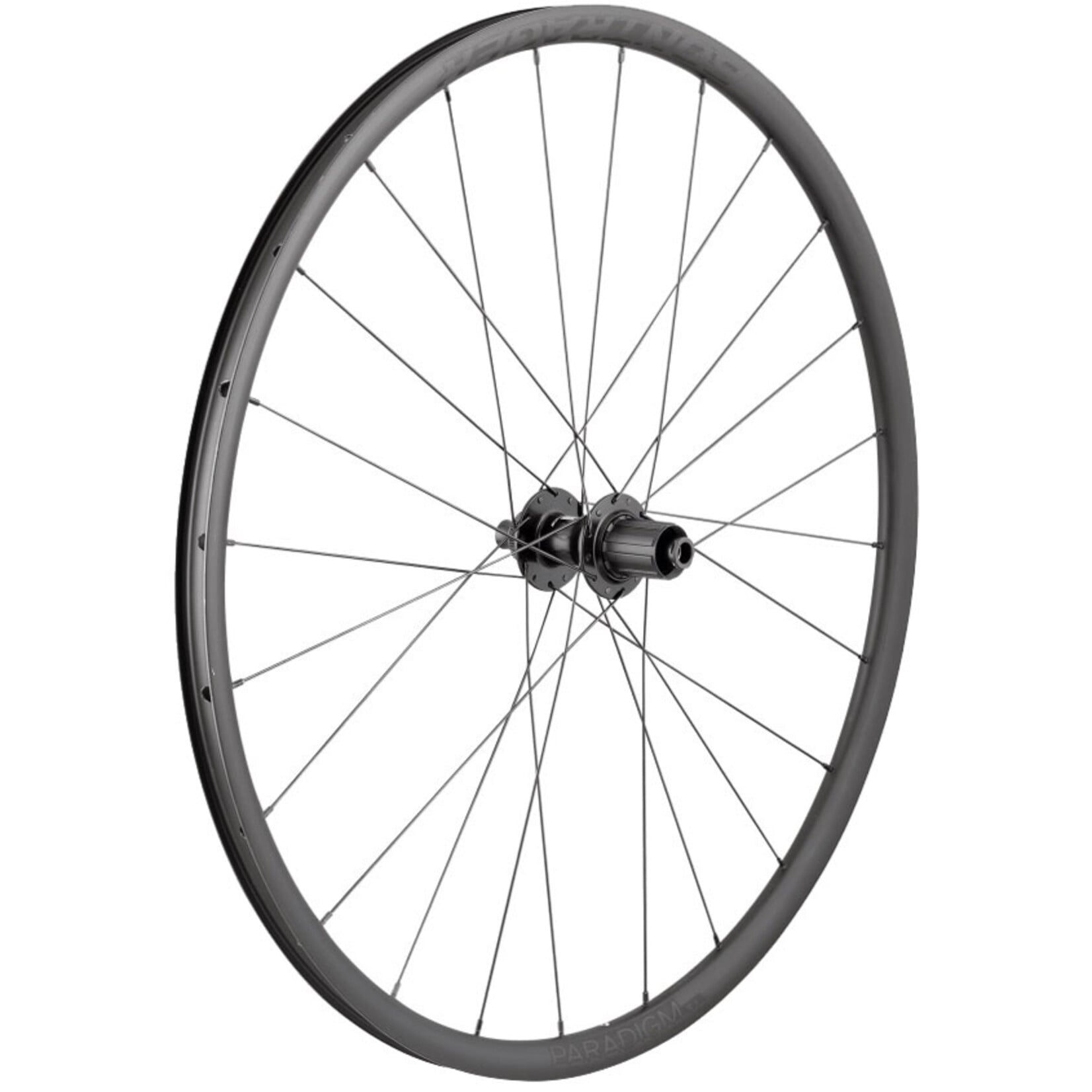 BONTRAGER Bontrager Paradigm SL TLR 700c Rear Wheel, 11spd, 12x142mm, Centerlock, 24H