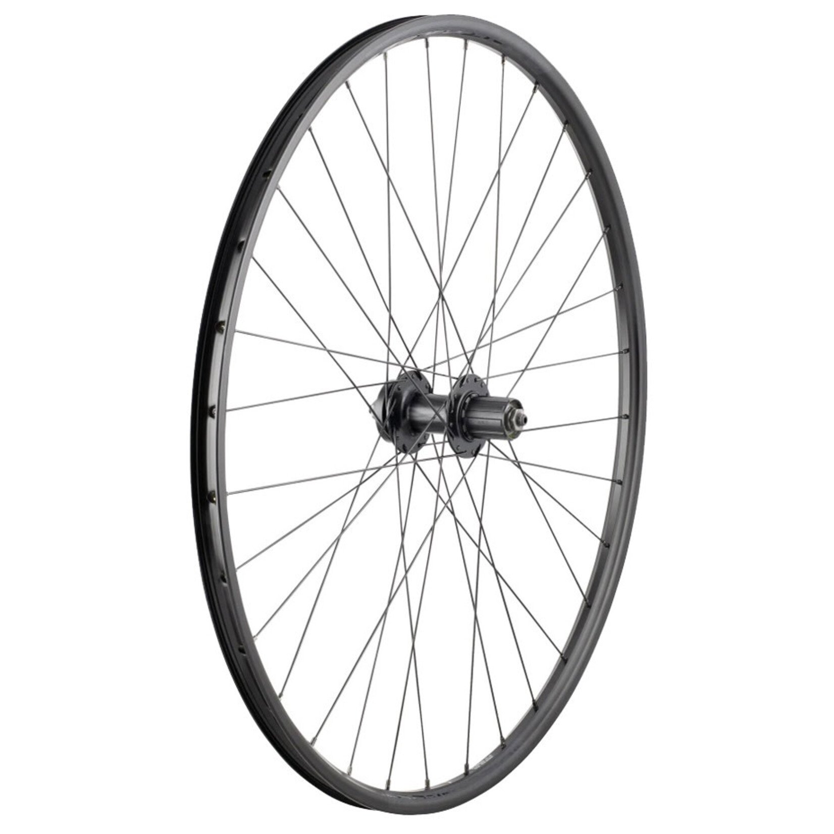 BONTRAGER Bontrager Connection 29" Rear Wheel, 10spd, Q/R, 6-Bolt Disc, 32H