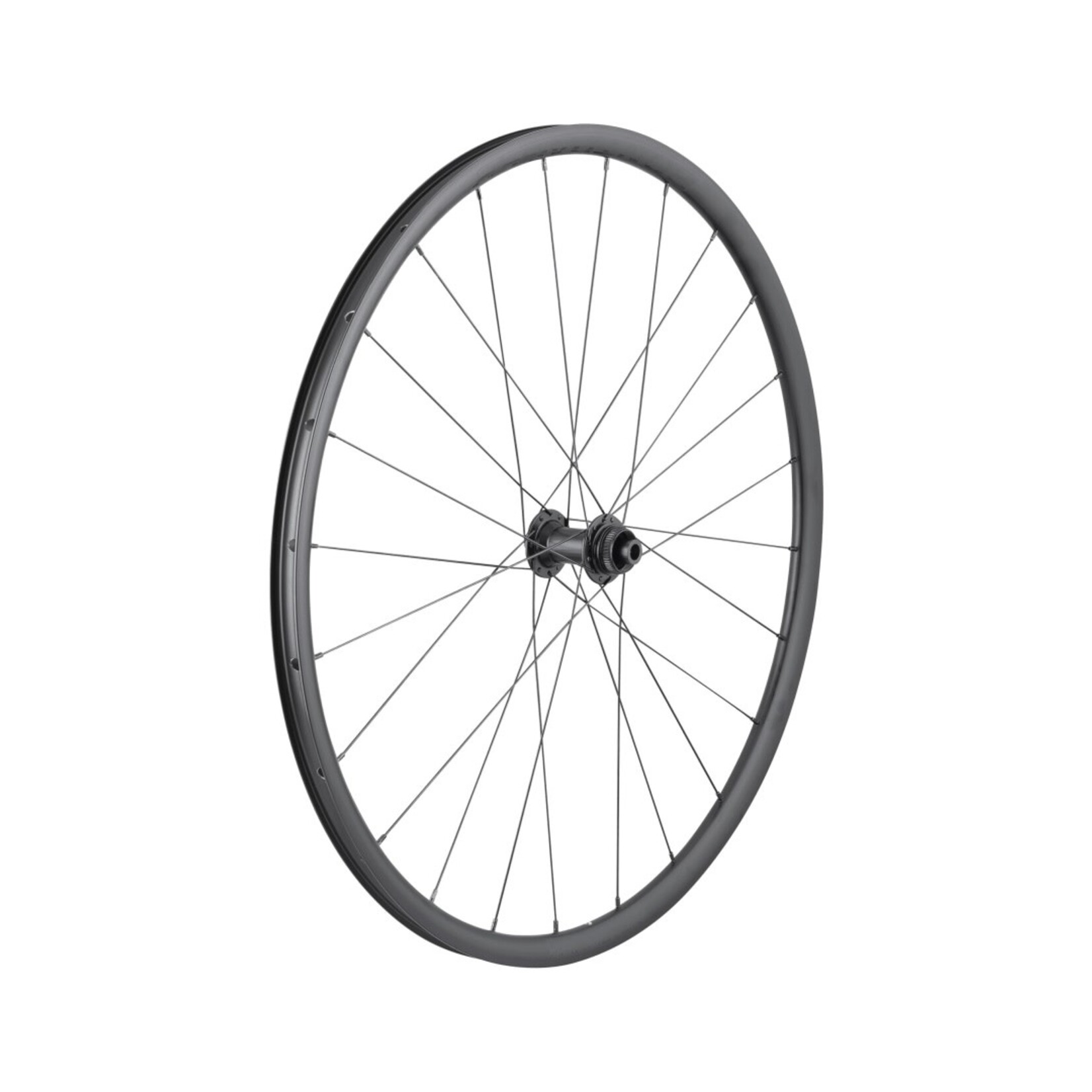 BONTRAGER Bontrager Paradigm SL TLR 700c Front Wheel, 12x100mm, Centerlock, 24H