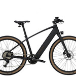 TREK Trek FX+ 1