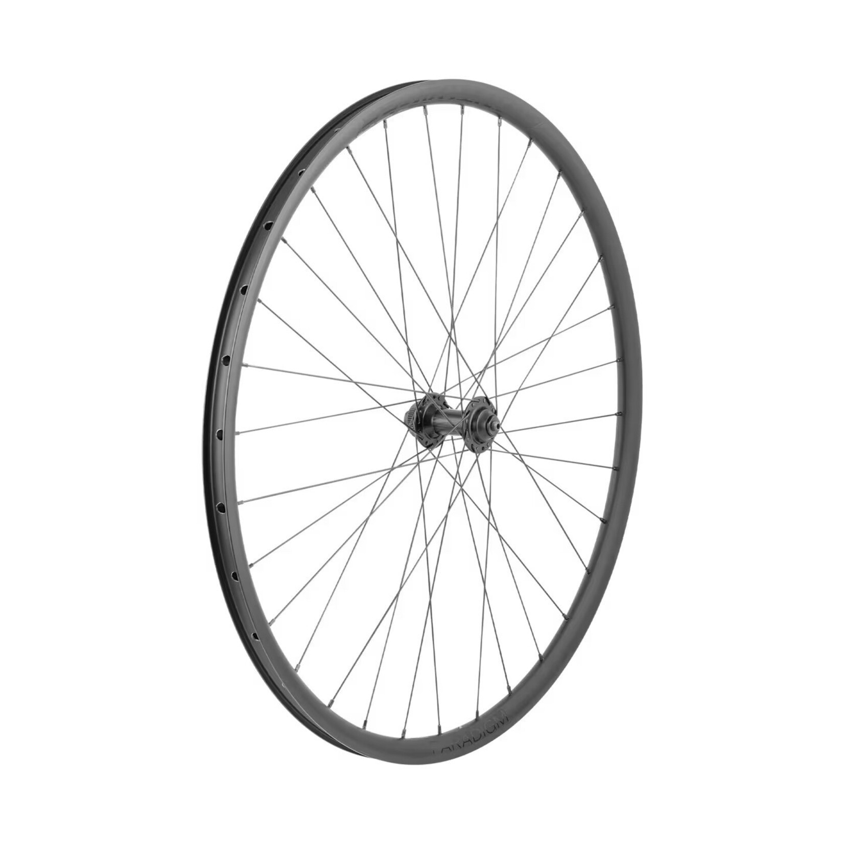 BONTRAGER Bontrager 700c Paradigm TLR Front Wheel, C-Lock, 100mm, Q/R, 32H