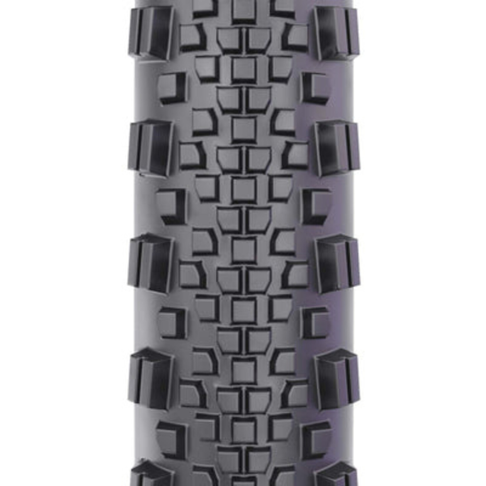 WTB WTB Raddler Tire TCS SG2 120tpi 700c