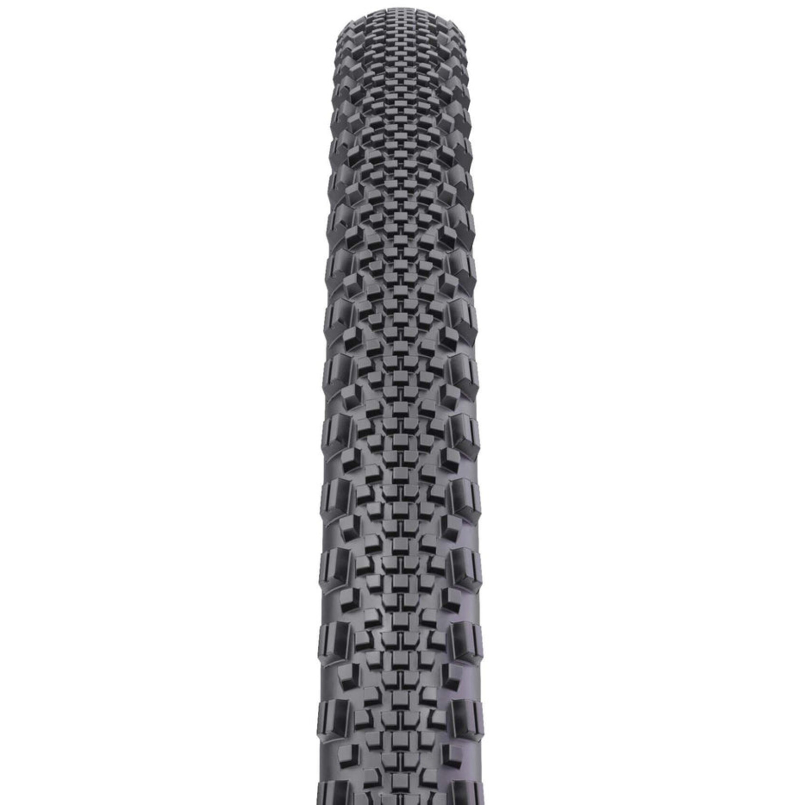 WTB WTB Raddler Tire TCS SG2 120tpi 700c