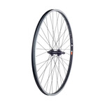 BONTRAGER Bontrager AT-550 29" Rear Wheel, Freewheel, Q/R, 135mm, Rim Brake, 36H, Schrader