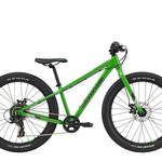 CANNONDALE Cannondale Cujo 24+ 2022 Green, Used Bike