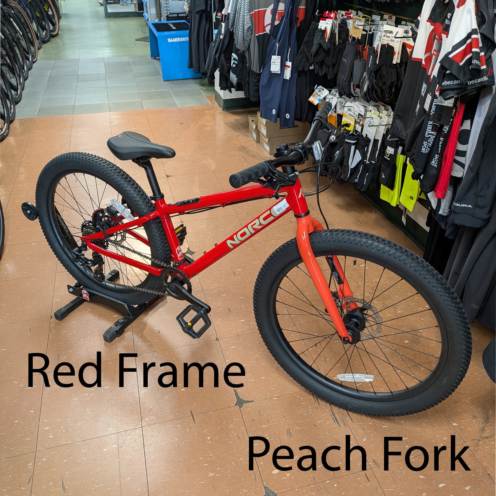 NORCO Norco Storm 24 Disc