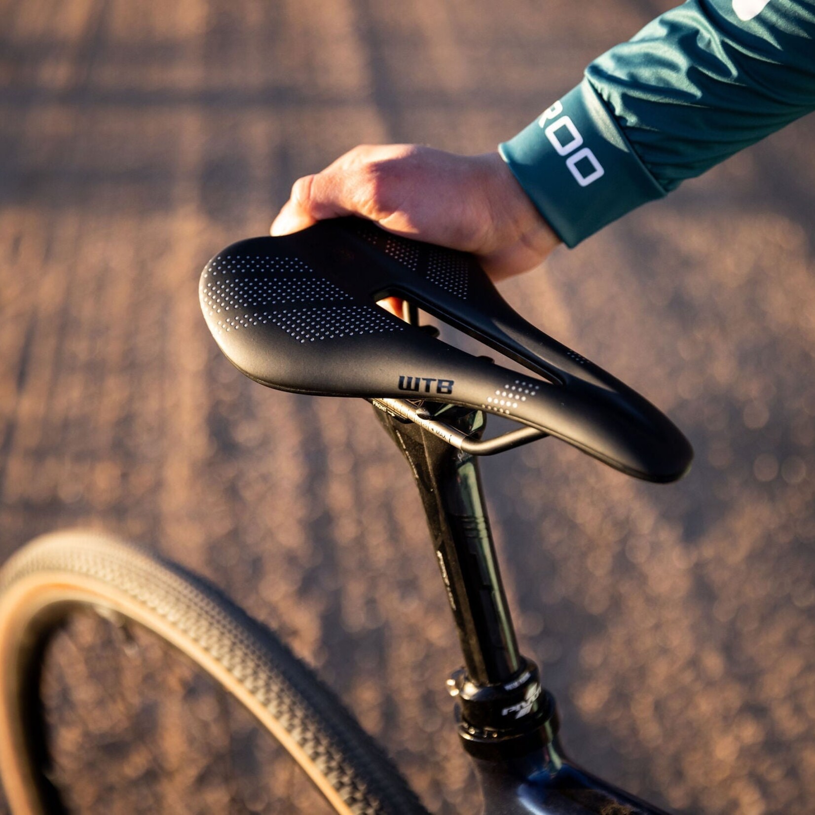 WTB WTB Gravelier Medium Cromoly Saddle 246 x 142mm