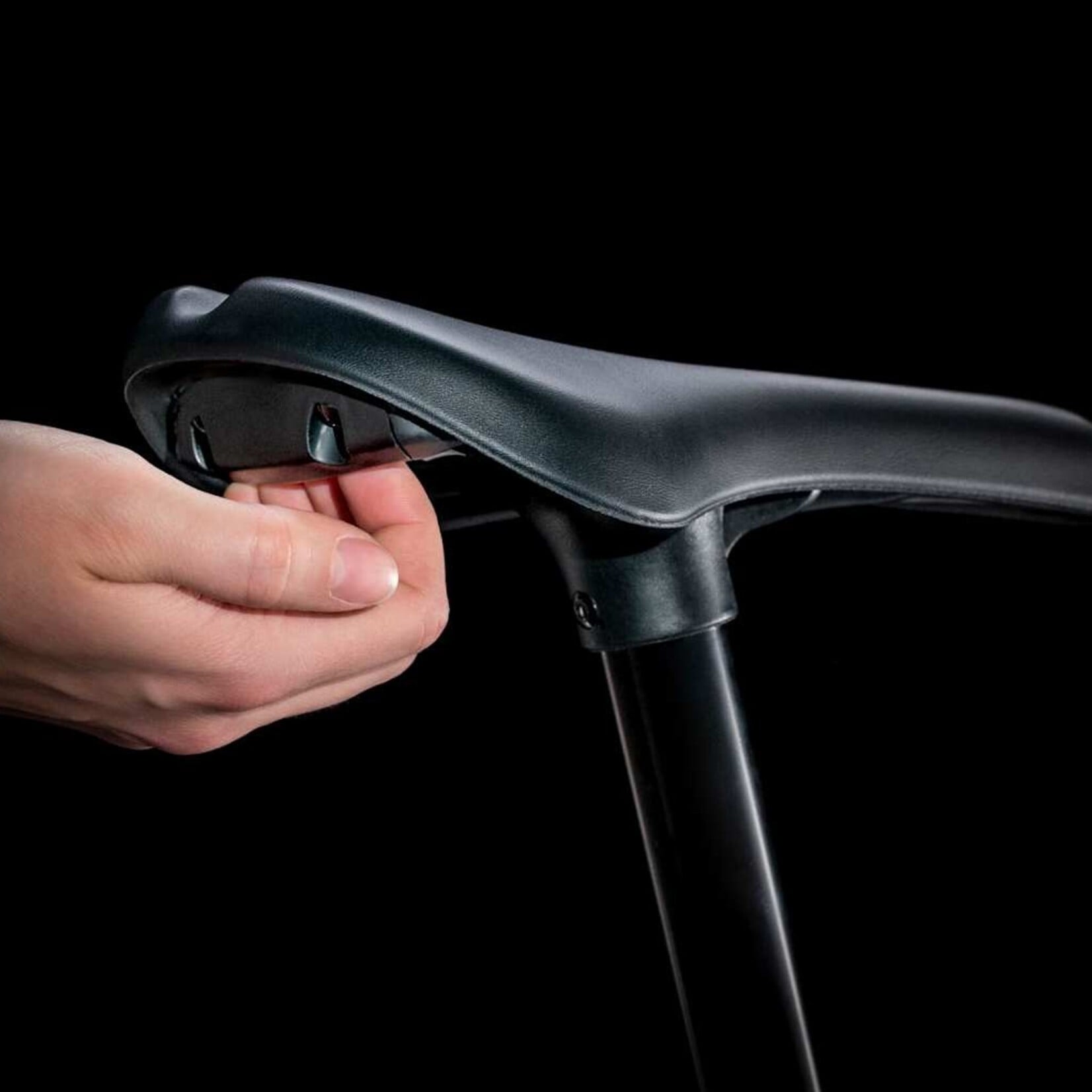 TREK Trek Precaliber 12