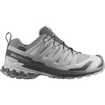 SALOMON Salomon XA Pro 3D V9 Gore-Tex Women's Trail Running Shoes