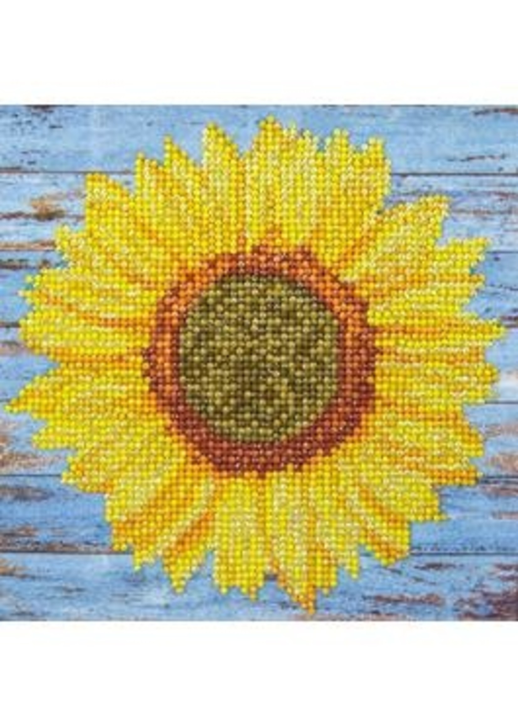 Diamond Art Kit 8x8" Beginner Sunflower