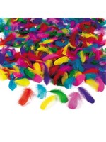 Feathers 20ct Assorted Colors