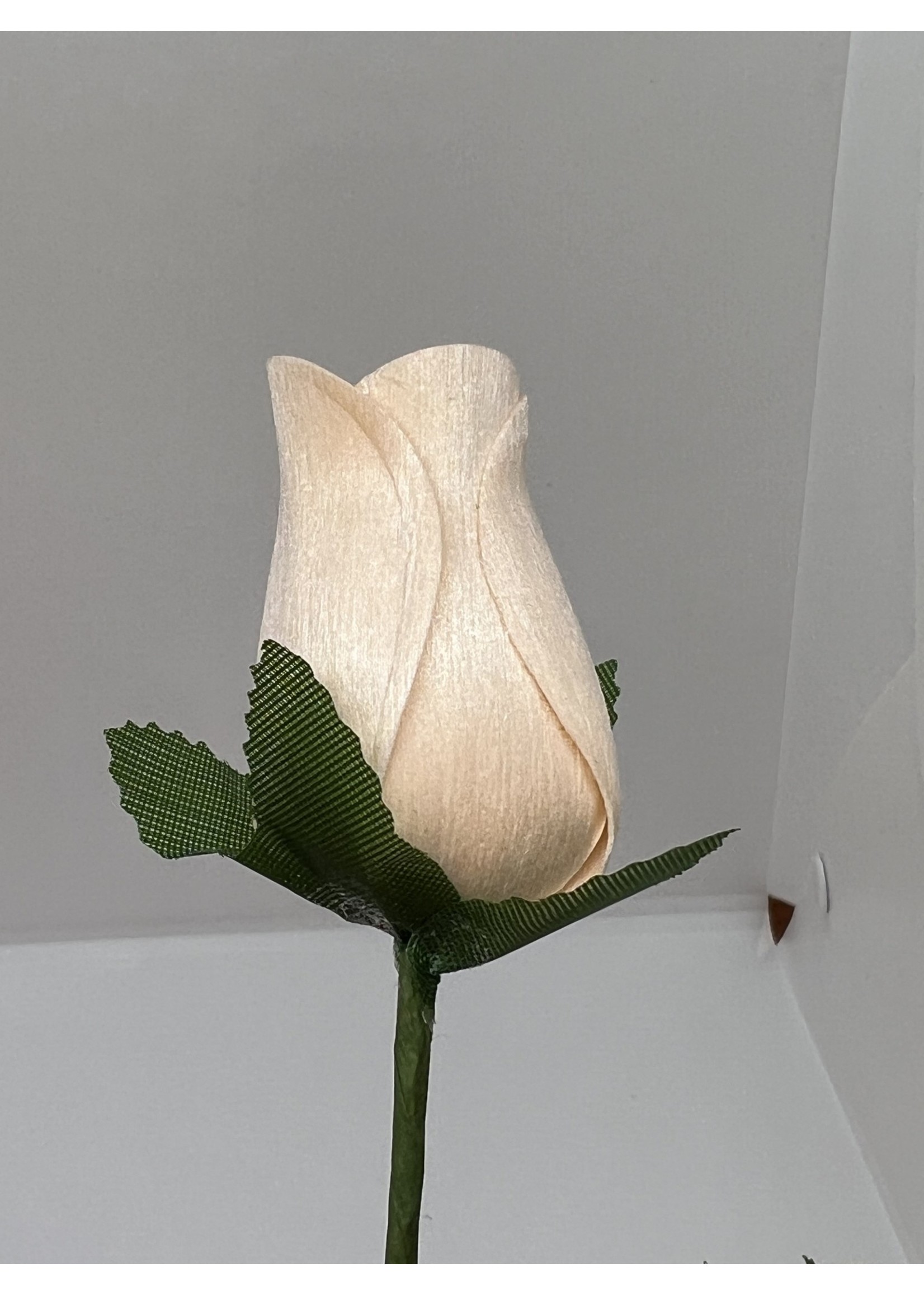 Wood Rose Single - Cream