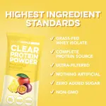 Pineapple Passion Protein Powder single