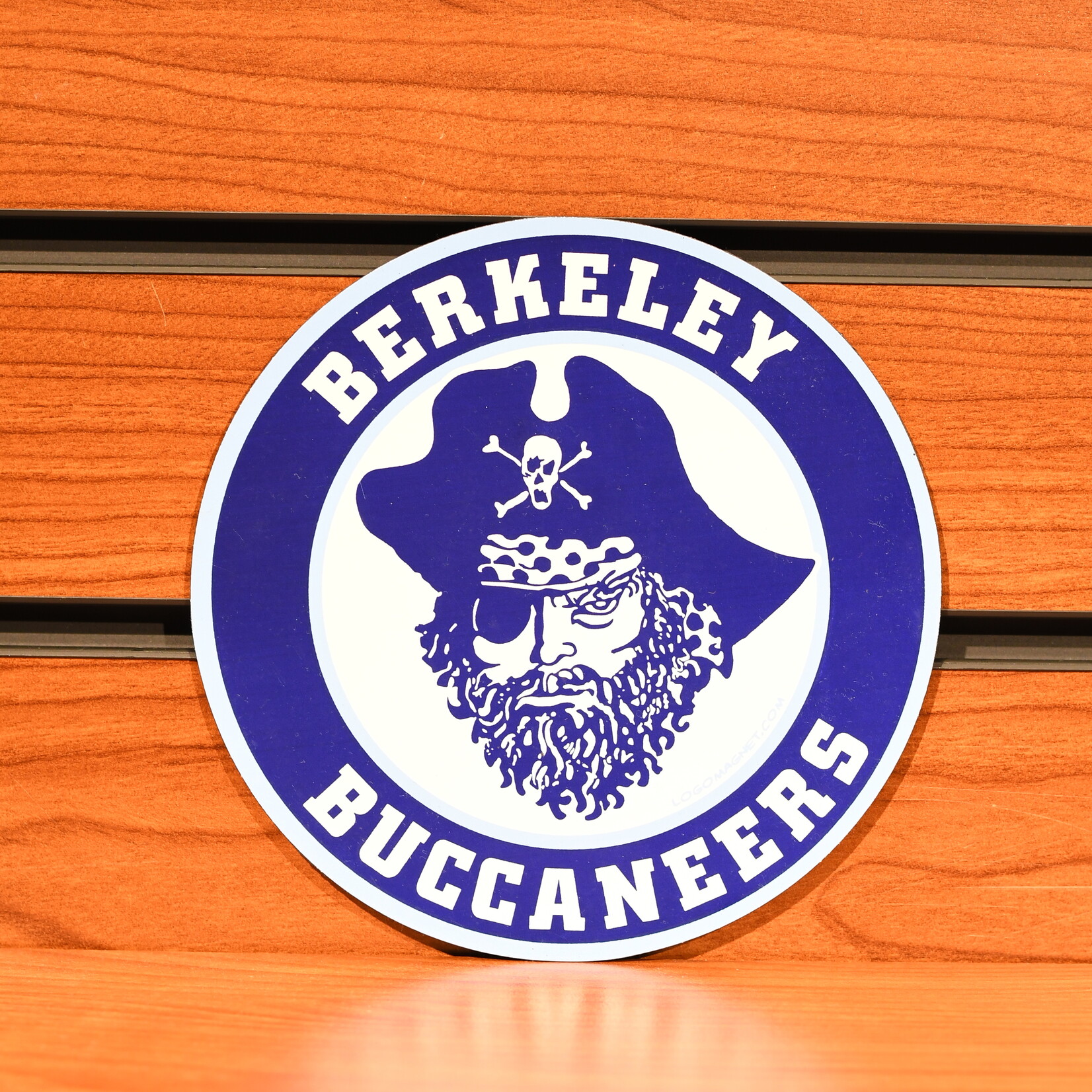 Springboard Magnet Pirate Round