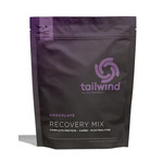 Tailwind Nutrition Tailwind Recovery 20 serving bag