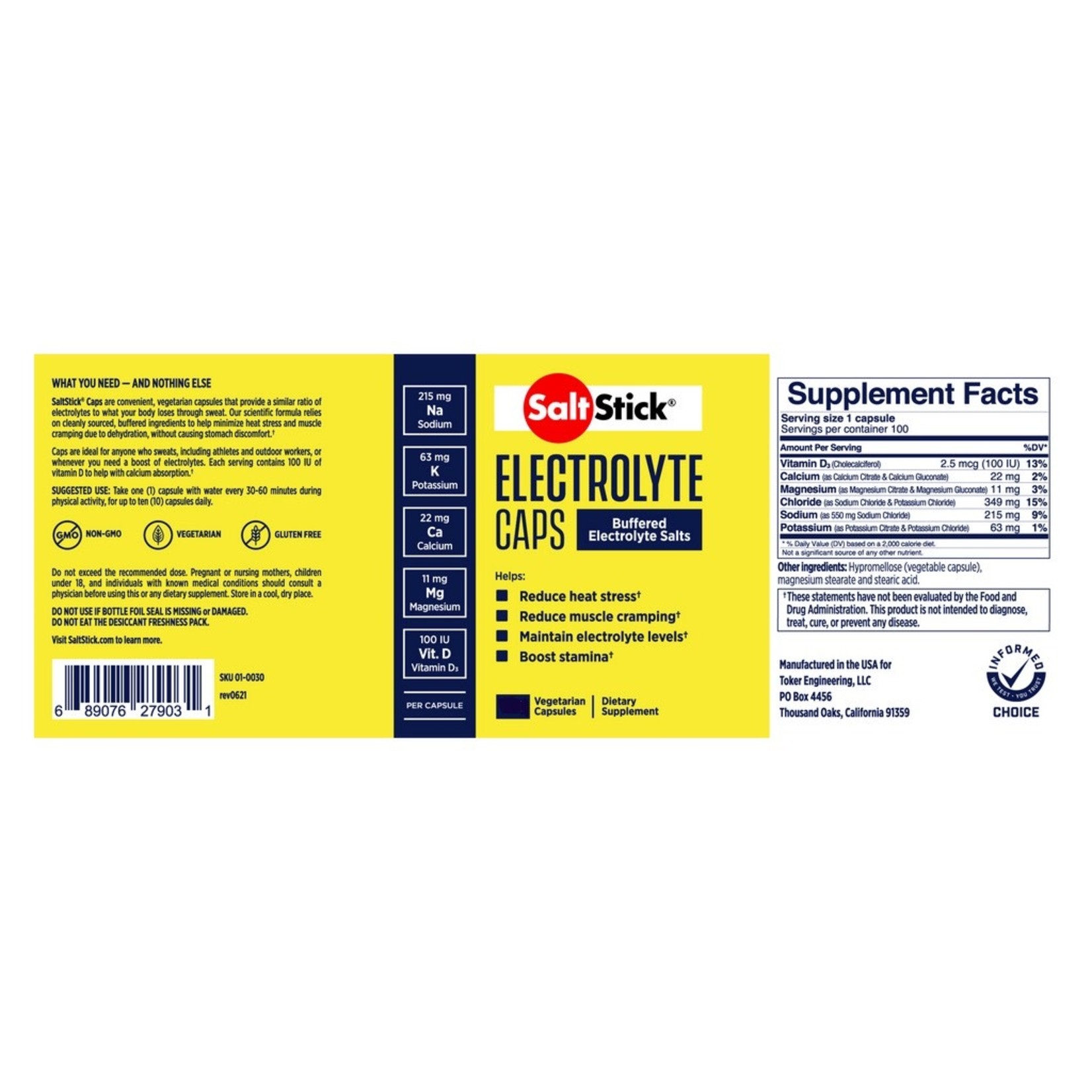 Salt Stick SaltStick Capsules, 4 pack