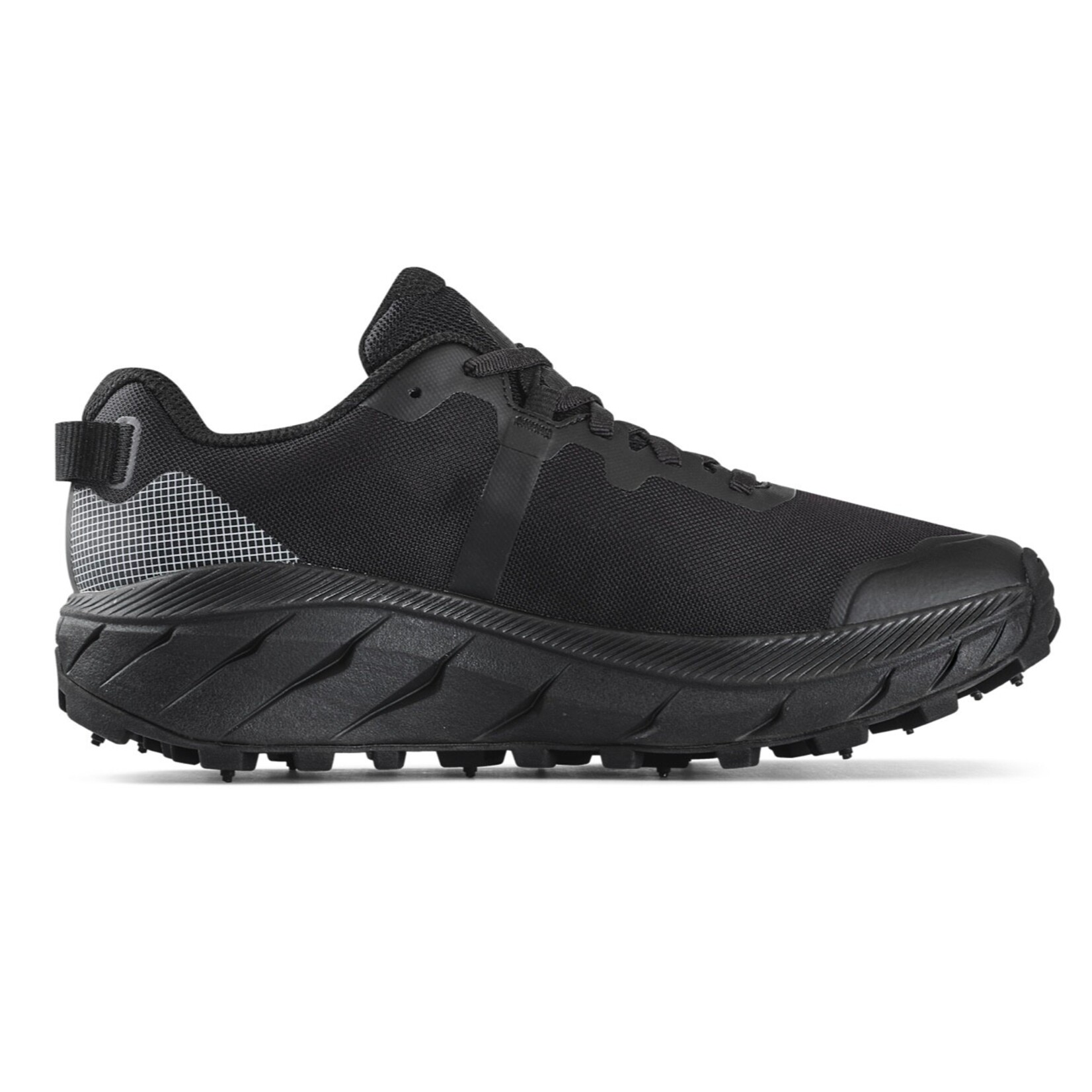 IceBug IceBug Arcus 2 BUGrip GTX, Women's