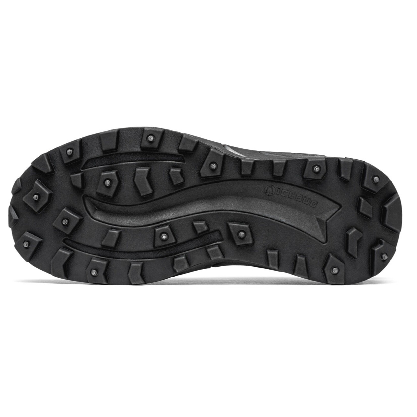 IceBug IceBug Arcus 2 BUGrip GTX, Women's