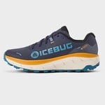 IceBug IceBug Arcus 2 BUGrip GTX, Women's