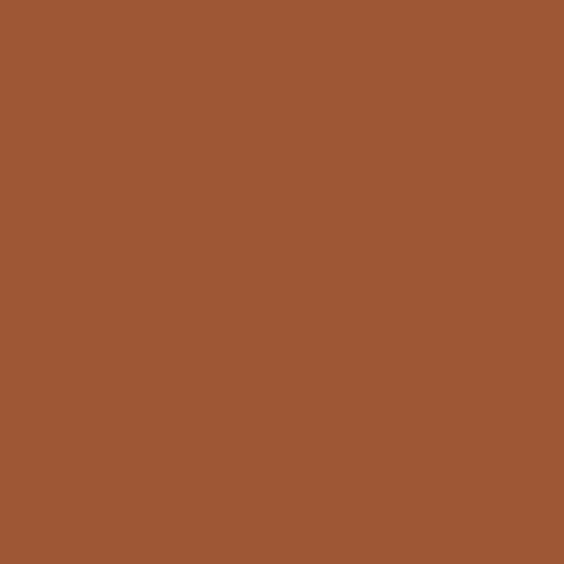 Royal Talens Gouache 20ML Light Brown