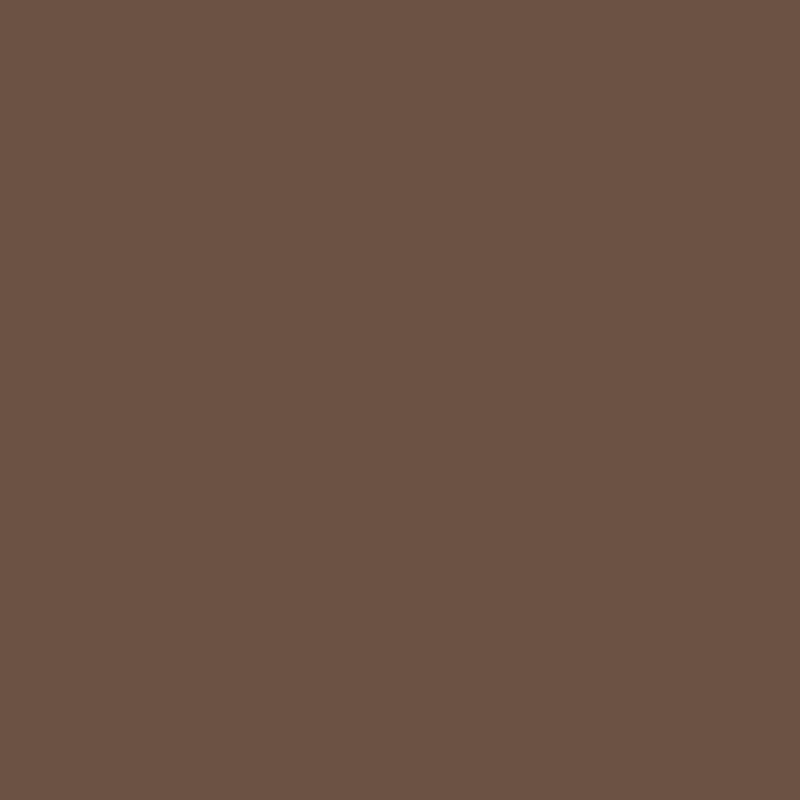 Royal Talens Gouache 20ML Deep Brown