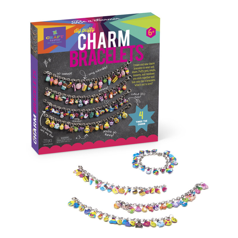 Ann Williams Craft-tastic DIY Charm Bracelets Kit