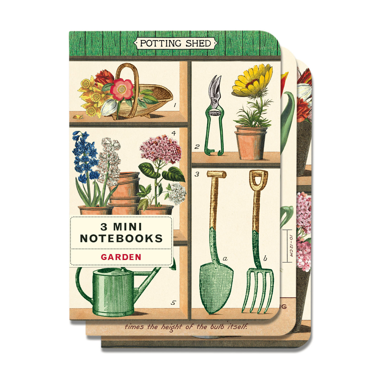 Cavallini & Co. Mini Notebook Set, Garden
