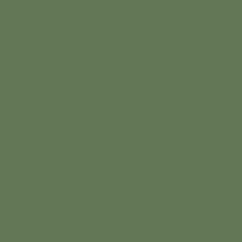 Royal Talens Gouache 20ML Olive Green