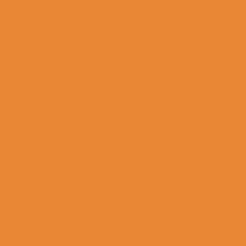 Royal Talens Gouache 20ML Light Orange