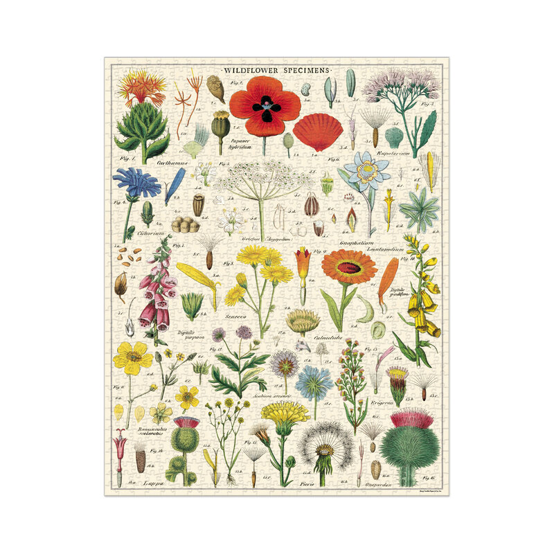 Cavallini & Co. Vintage Inspired 1,000-Piece Puzzle, Wildflowers
