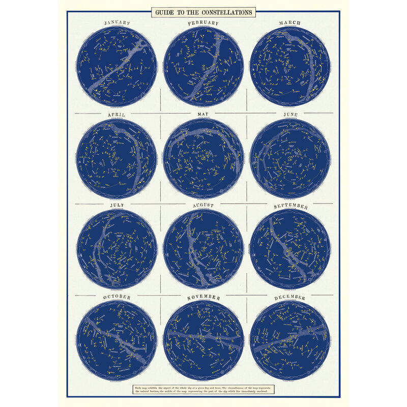 Cavallini & Co. Decorative Italian Paper, Constellations 20X28