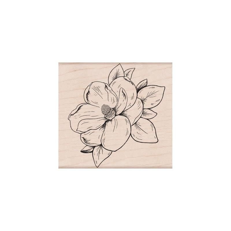 Hero Arts Flowering Magnolia